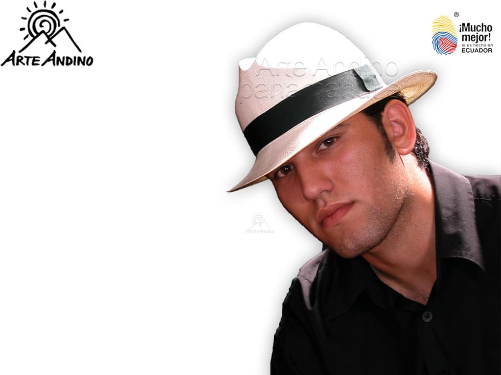 Herren Panamahut